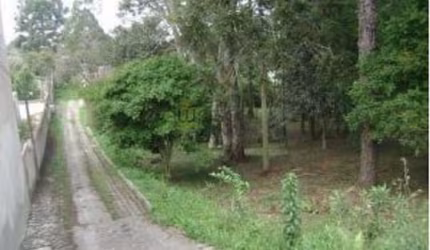Terreno para Venda em Uberaba Curitiba-PR