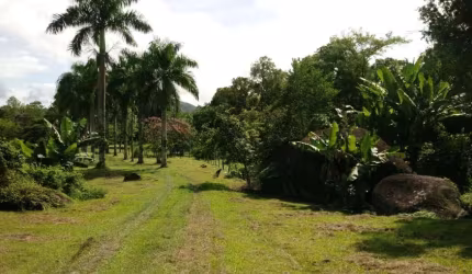 Chácara  para Venda em Rio Cedro Antonina-PR