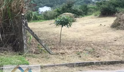 Lote/Terreno à Venda em Ingleses do Rio Vermelho - Florianópolis