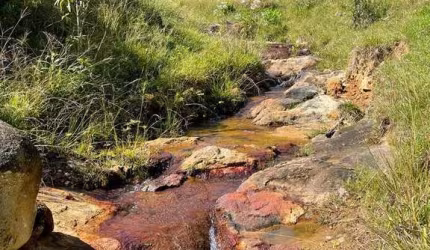 Sítio à Venda em Vargedo - Rancho Queimado por R$1.500.000