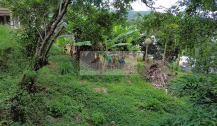Terreno à venda em Vargem do Bom Jesus, Florianópolis, por R$ 160.000. Oportunidade única para investir! Confira!