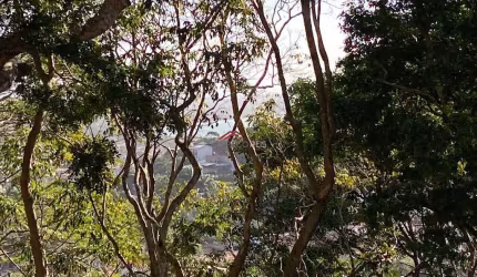 Terreno com vista