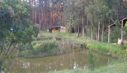 EXCELENTE CHÁCARA COM ESCRITURA DE 12.000 M²/CASA SEDE/ LAGO À VENDA EM MOGI DAS CRUZES