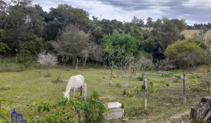 EXCELENTE CHÁCARA COM 9.170 M²/ LAGO/ NASCENTE À VENDA NO BAIRRO DE BOA VISTA ALTO EM ATIBAIA POR R$ 380.000,00