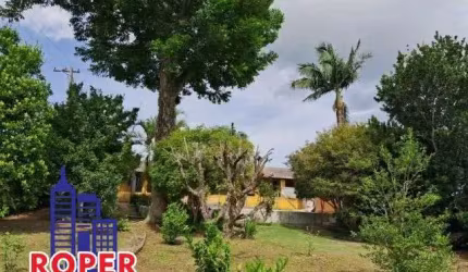 OPORTUNIDADE!! CHÁCARA COM ESCRITURA E QUE ACEITA FINANCIAMENTO BANCÁRIO  DE 1.000 M²/CASA SEDE/PISCINA/ÁREA GOURMET À VENDA EM SUZANO