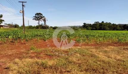 Chácara à venda, 8000 m² por R$ 550.000,00 - Zona Rural - São Miguel do Iguaçu/PR