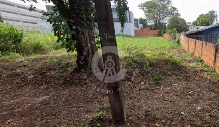 Terreno à venda, Vila Yolanda, FOZ DO IGUACU - PR