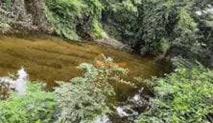 Bairro: NOSSA SENHORA DA GUIA Valor: R$ 200.000,00 codigo: 49315