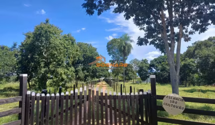 ÁREA RURAL : R$ 1.200.000,00 codigo: 31637