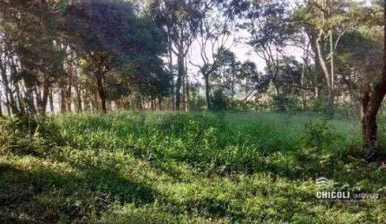Terreno 20000 m² - Capela de São Pedro - Vargem Grande Paulista/SP