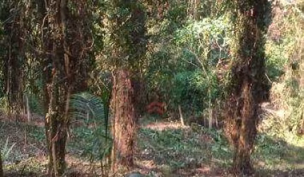 Terreno, 1200 m²  - Jardim Santa Paula - Cotia/SP