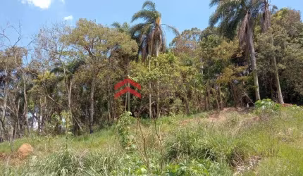 Terreno à venda na Pres. Tancredo Neves, 42000, Vila São Judas Tadeu, Vargem Grande Paulista por R$ 9.660.000