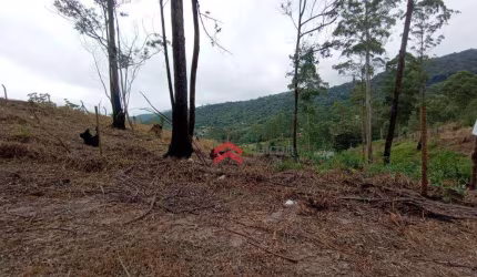 Terreno com 2817 m²- Caetê - São Roque/SP