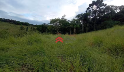 Terreno 340 m² - Taipas de Pedras (Mailasqui) - São Roque/SP