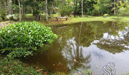 Sítio para Venda em Balneário Barra do Sul, Pinheiros, 3 dormitórios, 2 banheiros, 2 vagas