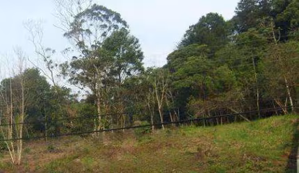TERRENO no ANITA GARIBALDI com 0 quartos para VENDA, 1260 m²