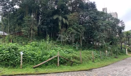 TERRENO no COSTA E SILVA com 0 quartos para VENDA, 1200 m²