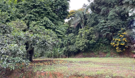 TERRENO no COSTA E SILVA com 0 quartos para VENDA, 1056 m²