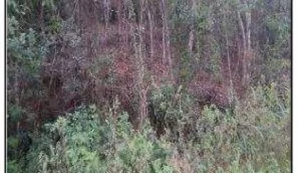 Oportunidade Única em MARICA - RJ | Tipo: Terreno | Negociação: Venda Direta Online  | Situação: Imóvel