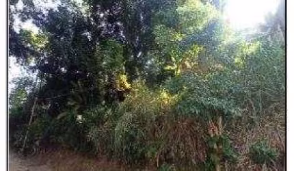 Oportunidade Única em MANGARATIBA - RJ | Tipo: Terreno | Negociação: Venda Direta Online  | Situação: Imóvel