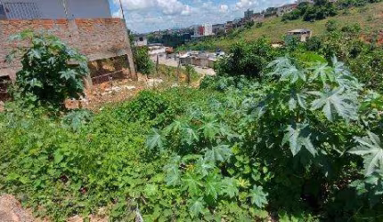 Oportunidade Única em MURIAE - MG | Tipo: Terreno | Negociação: Venda Direta Online  | Situação: Imóvel