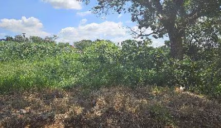 Oportunidade Única em CAPIVARI - SP | Tipo: Terreno | Negociação: Venda Direta Online  | Situação: Imóvel