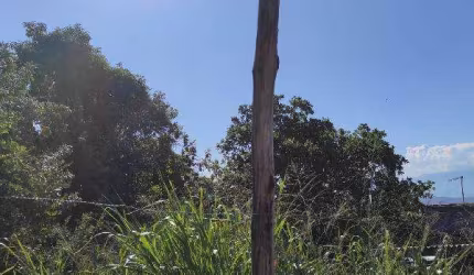 Oportunidade Única em SAO GONCALO - RJ | Tipo: Terreno | Negociação: Venda Direta Online  | Situação: Imóvel