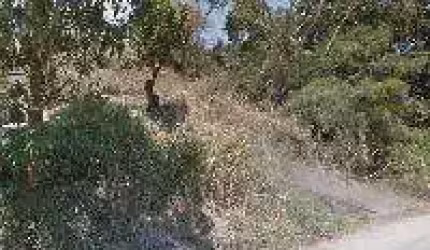 Oportunidade Única em SAO GONCALO - RJ | Tipo: Terreno | Negociação: Venda Direta Online  | Situação: Imóvel