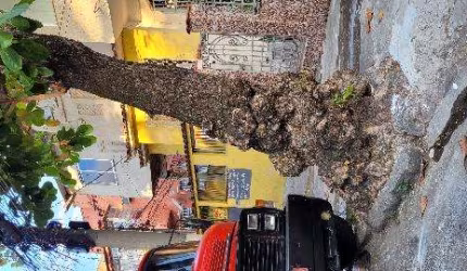 Oportunidade Única em RIO DE JANEIRO - RJ | Tipo: Casa | Negociação: Venda Direta Online  | Situação: Imóvel