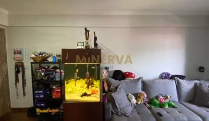 Apartamento - Tatuapé - São Paulo SP
