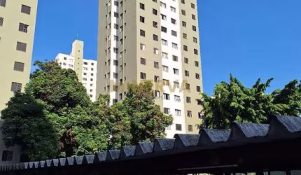 Apartamento - Brás - São Paulo SP