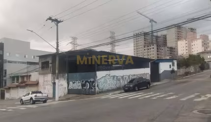 Galpão / Depósito / Armazém - Vila Guilhermina  -  São Paulo