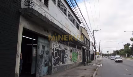 Galpão / Depósito / Armazém - Quarta Parada  -  São Paulo