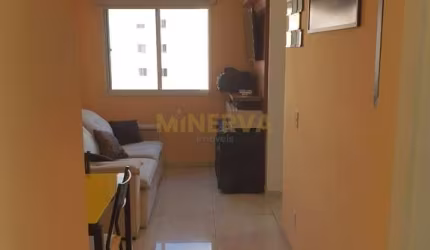 Apartamento - Brás - São Paulo, SP