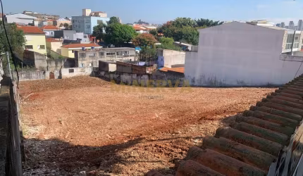 Em Vila Marieta  -  São Paulo