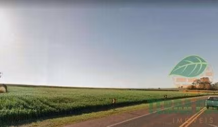 Terreno à venda na beira da PR445 com 8.990,00 M²