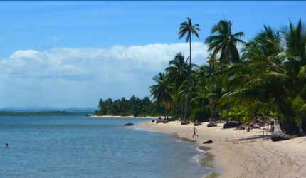 Terreno/Lote a venda  Barra  de Serinhaém, Bahia