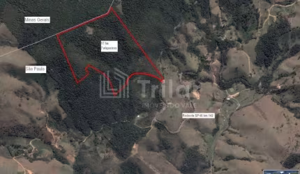 Vende-se aréa de  7 alqueires divisa com Santo Antonio do Pinhal