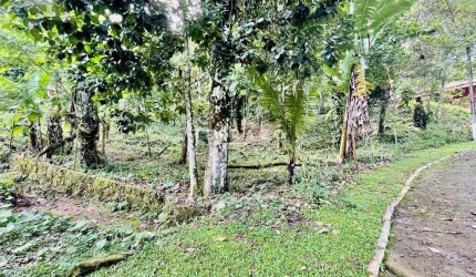 Terreno à venda, Limoeiro - Guapimirim/RJ