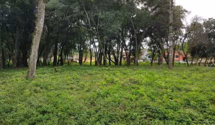 Terreno urbano na Lapa