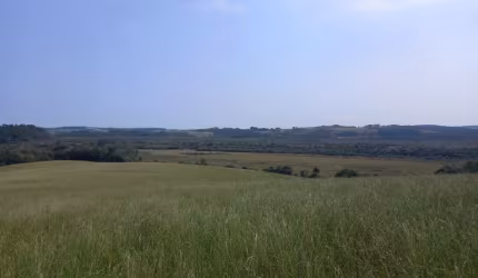 Fazenda para lavoura e pecuária na Lapa
