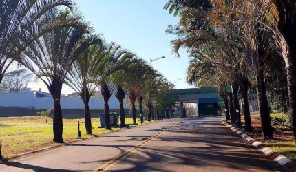 TERRENO DE ESQUINA - 593,70 M² - CONDOMÍNIO ALTO DA BOA VISTA - PAULÍNIA