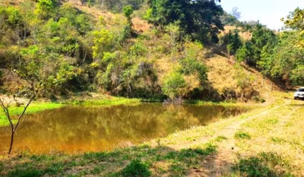 Sítio à venda em Piracaia-SP, 4 alqueires