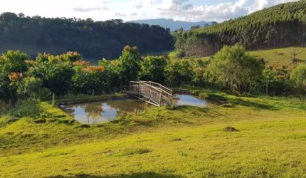 Sítio à Venda com 20.000m² em Piracaia