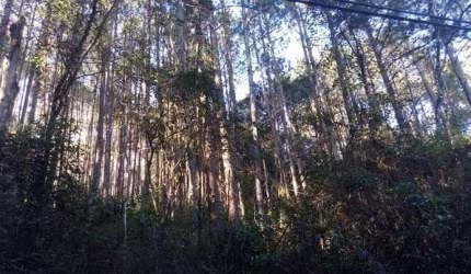 Terreno à venda em Atibaia-SP, bairro Portão, 22.000 m² de área! Confira essa oportunidade incrível!
