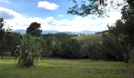 Terreno em Condomínio à venda em Piracaia-SP, no Bairro Canedos: oportunidade única!