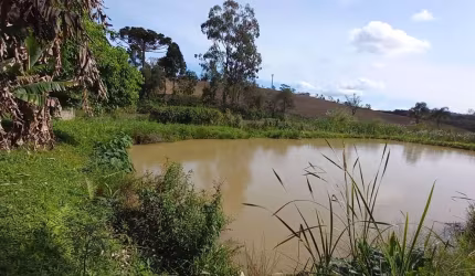 Chácara para Venda em Quitandinha, Zona Rural