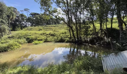 Chácara para Venda em Mandirituba, Lagoa dos Ferreiras, 5 dormitórios, 2 suítes, 5 banheiros