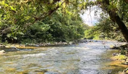 Chácara para Venda em Morretes, Zona Rural