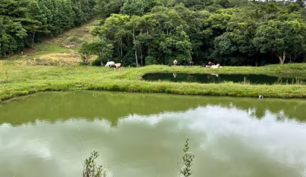 Sítio para Venda em Tijucas do Sul, Matulão